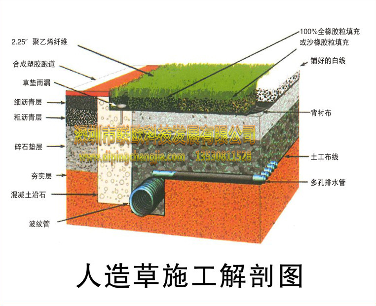 人造草施工解剖图